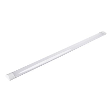 Aigostar - LED fluorescentna svetiljka LED/40W/230V 4000K 120 cm
