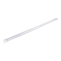 Aigostar - LED fluorescentna svetiljka LED/50W/230V 6500K 150 cm