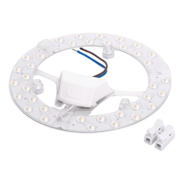 Aigostar - LED magnetni modul LED/24W/230V 4000K