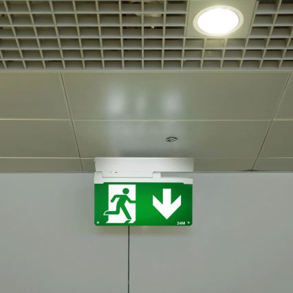 Aigostar - LED osvetljenje za nuždu (EMERGENCY EXIT) LED/3,6W/230V 6500K 500mAh