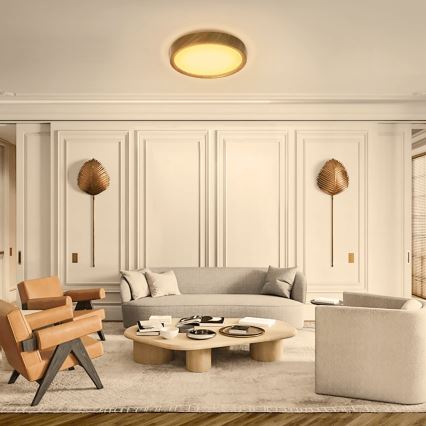 Aigostar - LED plafonjera LED/12W/230V 3000K pr. 26,3 cm