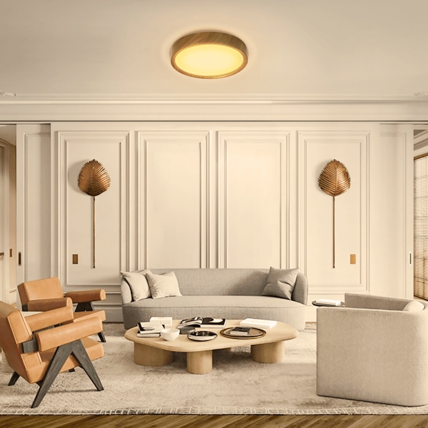 Aigostar - LED plafonjera LED/12W/230V 3000K pr. 26,3 cm