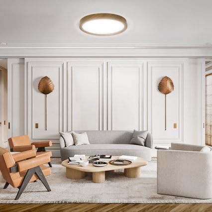 Aigostar - LED plafonsko svetlo LED/20W/230V 6500K prečnik 33,7 cm