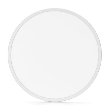 Aigostar - LED plafonsko svetlo za kupatilo LED/18W/230V 6500K prečnik 30 cm IP44
