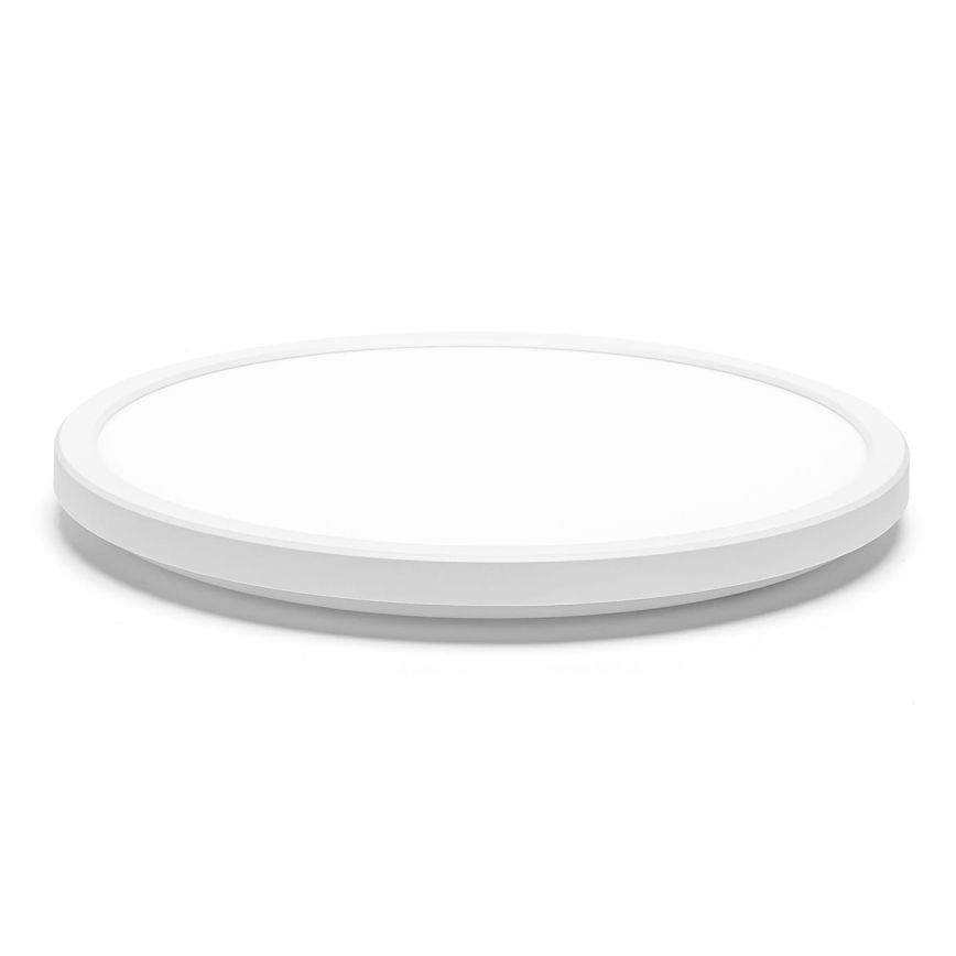 Aigostar - LED plafonsko svetlo za kupatilo LED/18W/230V 6500K prečnik 30 cm IP44