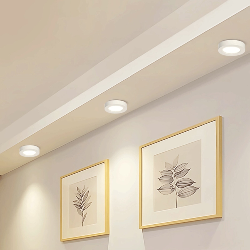 Aigostar - LED plafonsko svetlo za površinsku montažu LED/18W/230V prečnik 22,6 cm 4000K belo