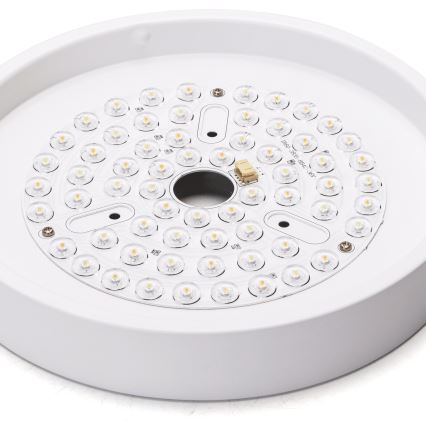 Aigostar - LED prigušiva plafonski ventilator LED/24W/230V 2700-6500K, prečnik 165 cm + daljinski upravljač, bela