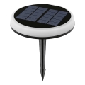 Aigostar - LED RGB solarna svetiljka LED/0,6W/3,7V IP65