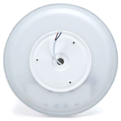 Aigostar - LED RGBW prigušiva plafonska svetiljka MESH LED/24W/230V 3000-6500K bela + daljinski upravljač