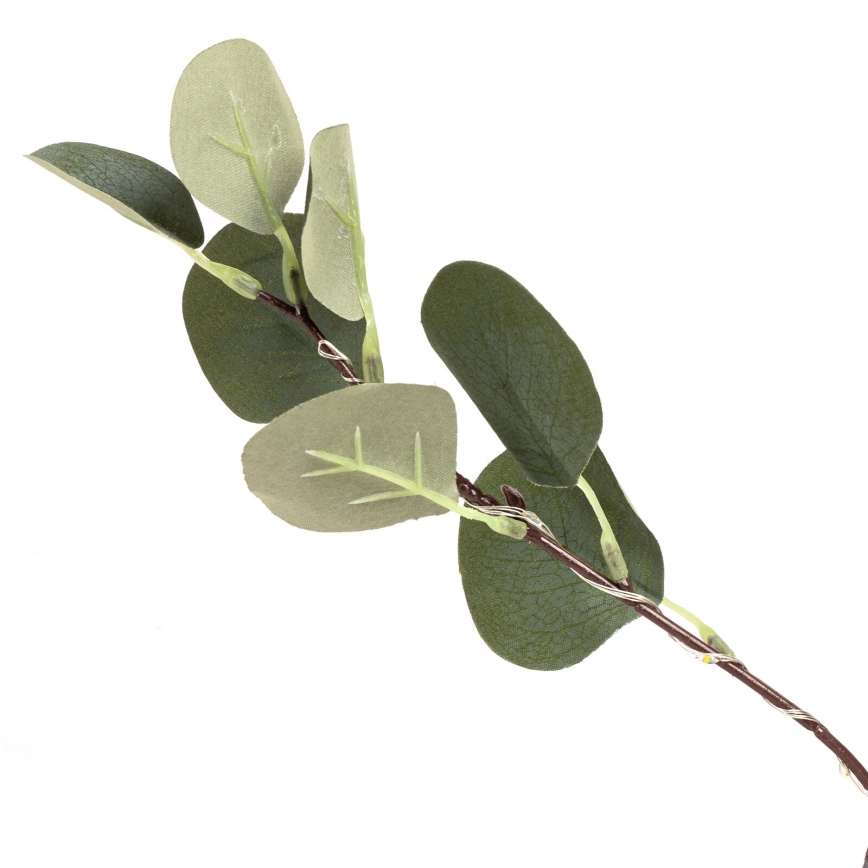 Aigostar - LED solarna dekoracija 210xLED/3,5m IP65 300 mAh toplo belo svetlo eukaliptus