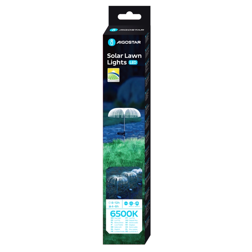 Aigostar - Solarna LED dekorativna lampa LED/0,03W/1,2V 70 cm 300 mAh 6500K IP44