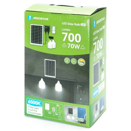 Aigostar - LED solarni luster 2xLED/35W/12V 6000 mAh 6500K preč. 10 cm + daljinski upravljač