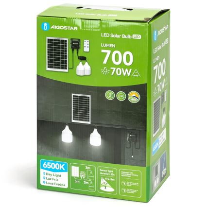 Aigostar - LED solarni luster sa senzorom, 2x LED/35W/12V, baterija 6000 mAh, 6500 K, prečnik 10 cm + daljinski upravljač