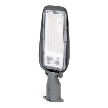 Aigostar - LED ulična lampa SLIM LED/50W/230V 6500K IP65