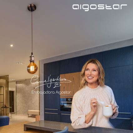 Aigostar - Napajajući kabel 1xE27/60W/230V bakrene boje