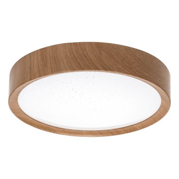 Aigostar - plafonsko LED svetlo 12W/230V 6500K prečnik 26,3 cm