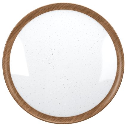 Aigostar - plafonsko LED svetlo 12W/230V 6500K prečnik 26,3 cm