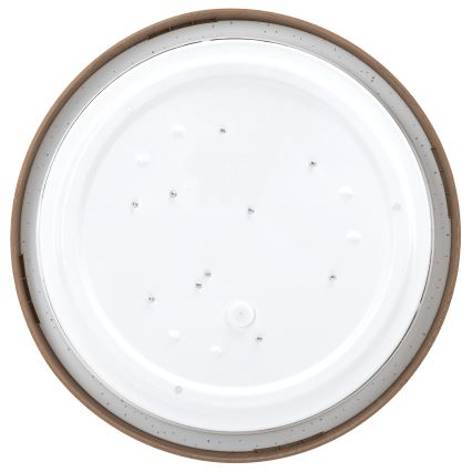 Aigostar - plafonsko LED svetlo 12W/230V 6500K prečnik 26,3 cm