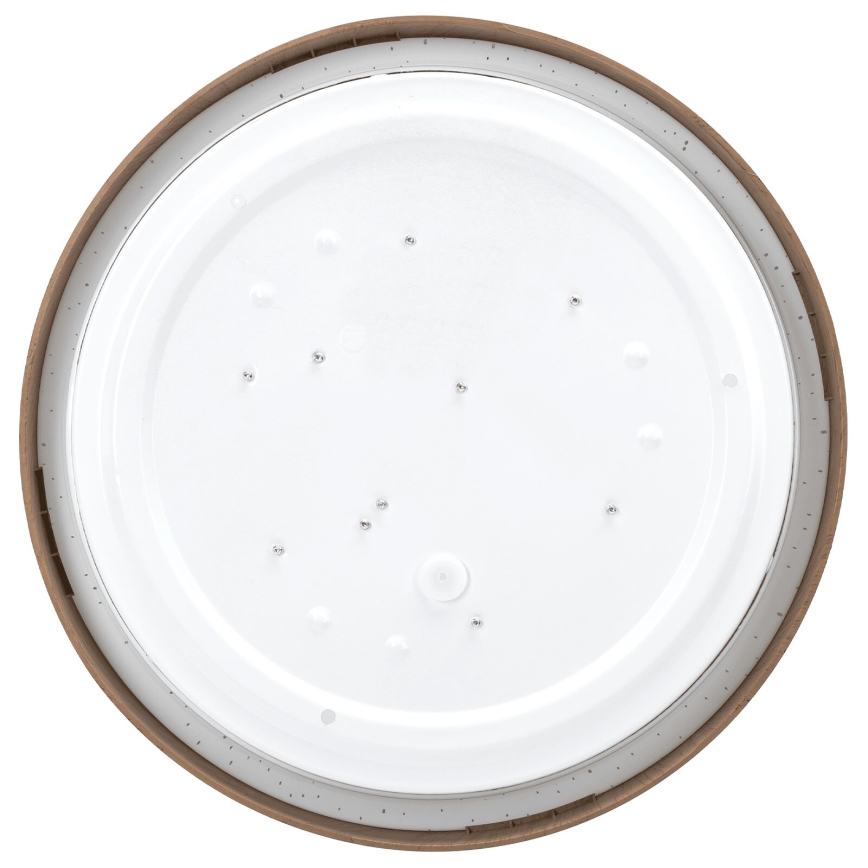 Aigostar - plafonsko LED svetlo 12W/230V 6500K prečnik 26,3 cm