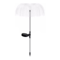 Aigostar - Solarna LED dekorativna lampa LED/0,03W/1,2V 70 cm 300 mAh 6500K IP44