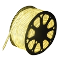 Aigostar - spoljašnja LED traka 50m LED/350W/230V 3000K IP65