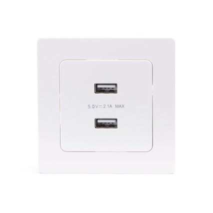 Aigostar - zidna USB utičnica sa okvirom, 2x USB-A, bela