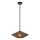 Alora Mood - Luster na šipci DAPHNE 1xE27/60W/230V prečnik 38,1 cm crna