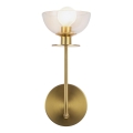 Alora Mood - Zidna lampa SYLVIA 1xE14/40W/230V zlatna