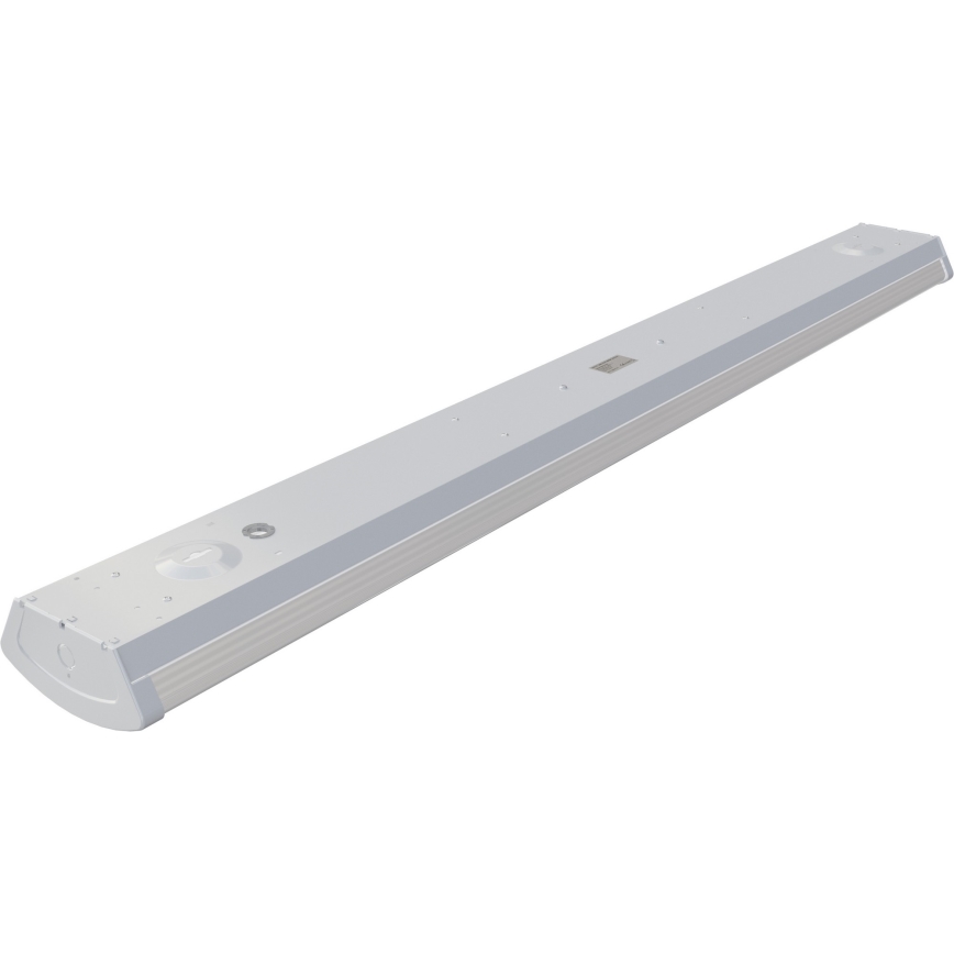 APLED - LED površinsko montirano svetlo TROUT LED/36W/230V 4000K + osvetljenje u nuždi