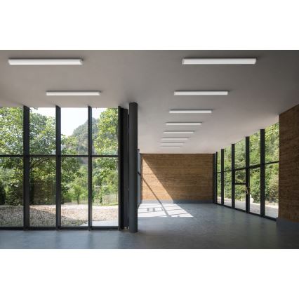 APLED - LED površinsko montirano svetlo TROUT LED/36W/230V 4000K + osvetljenje u nuždi