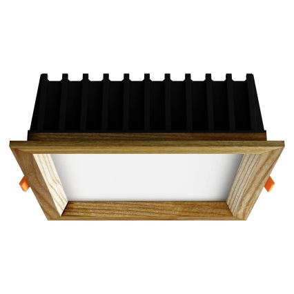 APLED - LED ugradno svetlo SQUARE WOODLINE LED/12W/230V 4000K 17x17 cm masivni jasen