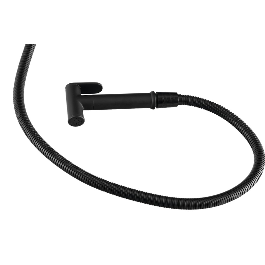 Aqualine - Baterija za bide sa tušem za podžbuknu ugradnju, mat crna