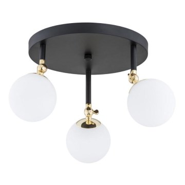 Argon 1436 - Plafonski luster za kupatilo LATINA 3xE14/40W/230V IP44