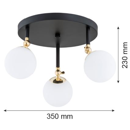 Argon 1436 - Plafonski luster za kupatilo LATINA 3xE14/40W/230V IP44