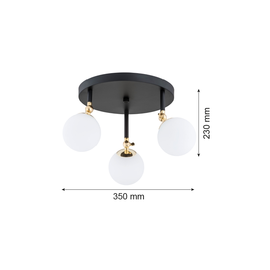 Argon 1436 - Plafonski luster za kupatilo LATINA 3xE14/40W/230V IP44