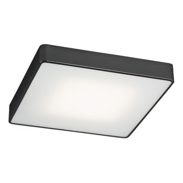 Argon 1577 - plafonsko svetlo ONTARIO 4xE27/15W/230V