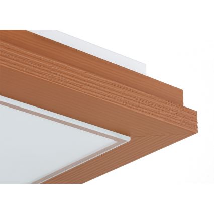 Argon 1867 - Plafonsko svetlo TABOR 4xE27/15W/230V 42x42 cm terakota