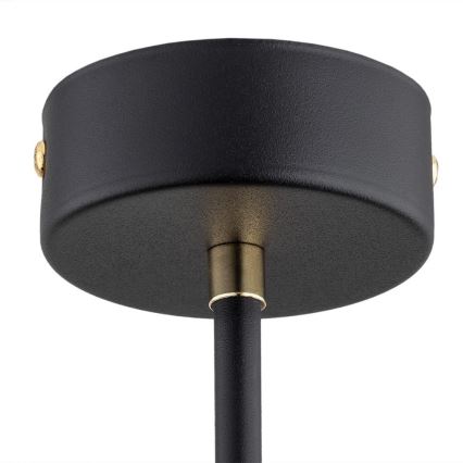 Argon 2128 - luster na šipci RAVELLO, 5xE14/15W/230V, crna/zlatna