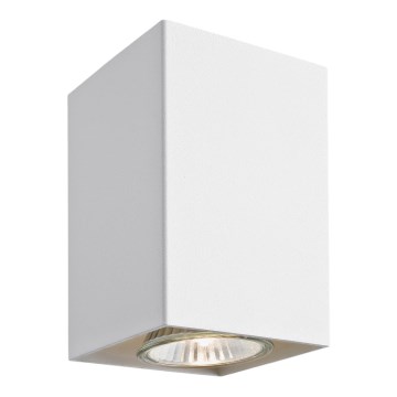 Argon 3087 - Spot svetiljka TYBER 3 1xGU10/50W/230V