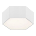 Argon 3828 - LED plafonsko svetlo ARIZONA LED/9W/230V belo