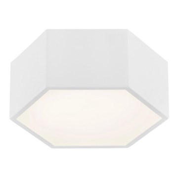 Argon 3828 - LED plafonsko svetlo ARIZONA LED/9W/230V belo