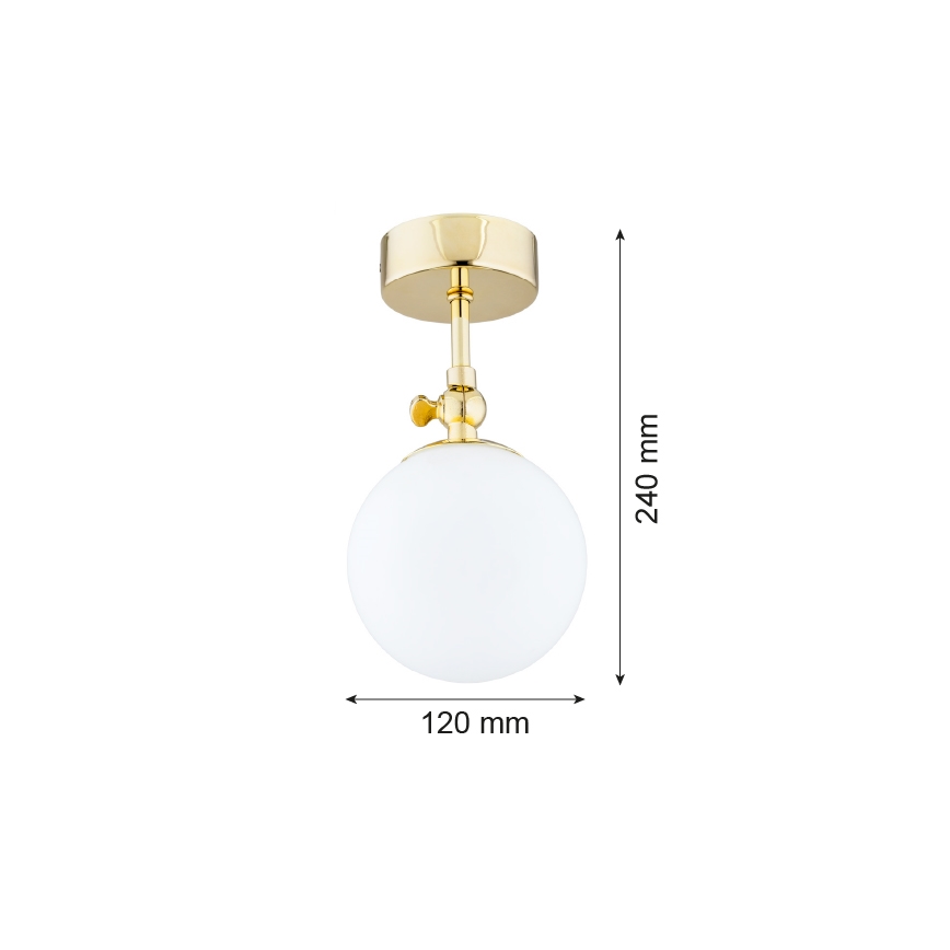 Argon 4001 - Kupatilski plafonski luster LATINA 1xE14/40W/230V IP44