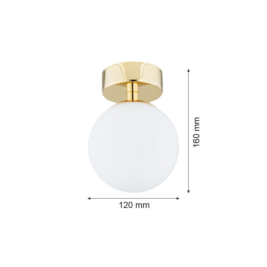 Argon 4004 - Stropno svetlo za kupatilo FLAVIO 1xE14/7W/230V IP44
