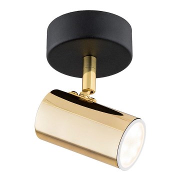 Argon 4208 - Plafonsko spot svetlo LAGOS 1xGU10/5W/230V mesing/crna