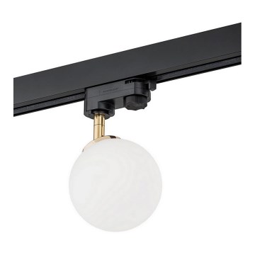 Argon 4307 - Reflektor za šinski sistem BANG 1xG9/6W/230V mesing