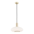 Argon 4358 - Luster na sajli SAGUNTO 1xE27/15W/230V, prečnik 30 cm, mesing