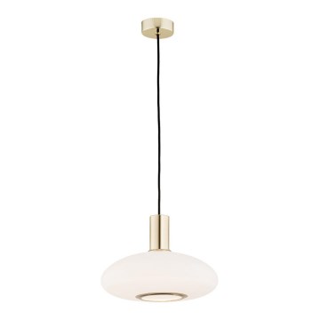 Argon 4358 - Luster na sajli SAGUNTO 1xE27/15W/230V, prečnik 30 cm, mesing