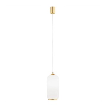 Argon 4993 - Luster na sajli PALLADO 1xE27/15W/230V zlatna/bela