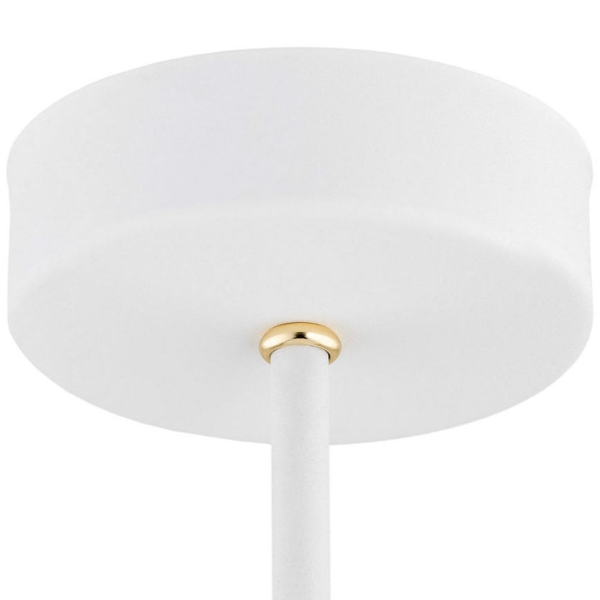Argon 6148 - Luster na šipci CHARLOTTE 3xE27/15W/230V bela/zlatna