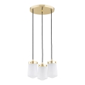 Argon 6164 - Luster na sajli PASADENA 3xE27/15W/230V zlatna/bela